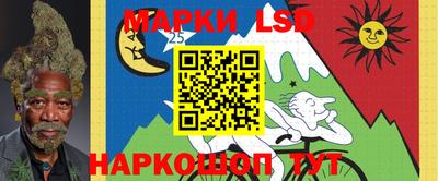индика Вышний Волочёк