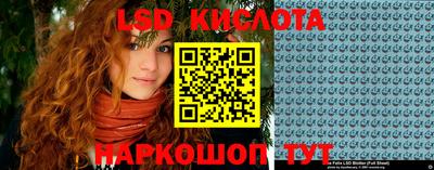 крисы Вязьма