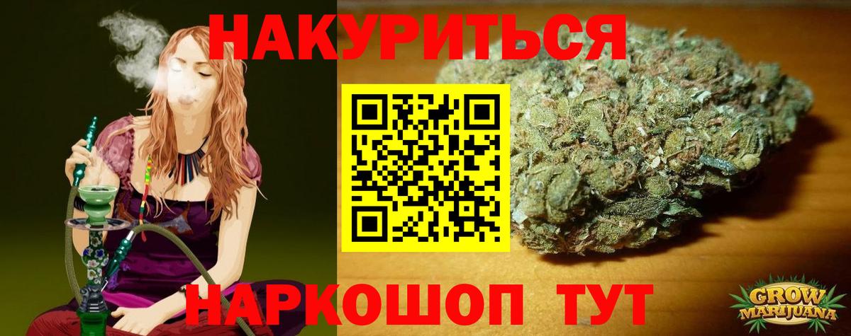 Конопля сатива Нальчик